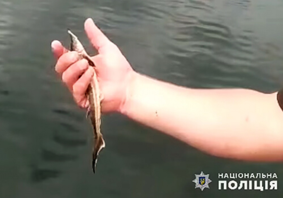 На Хмельниччині у сітку браконьєрів потрапила «золота» рибка (ФОТО)