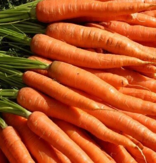 Чому ціни на моркву падають
