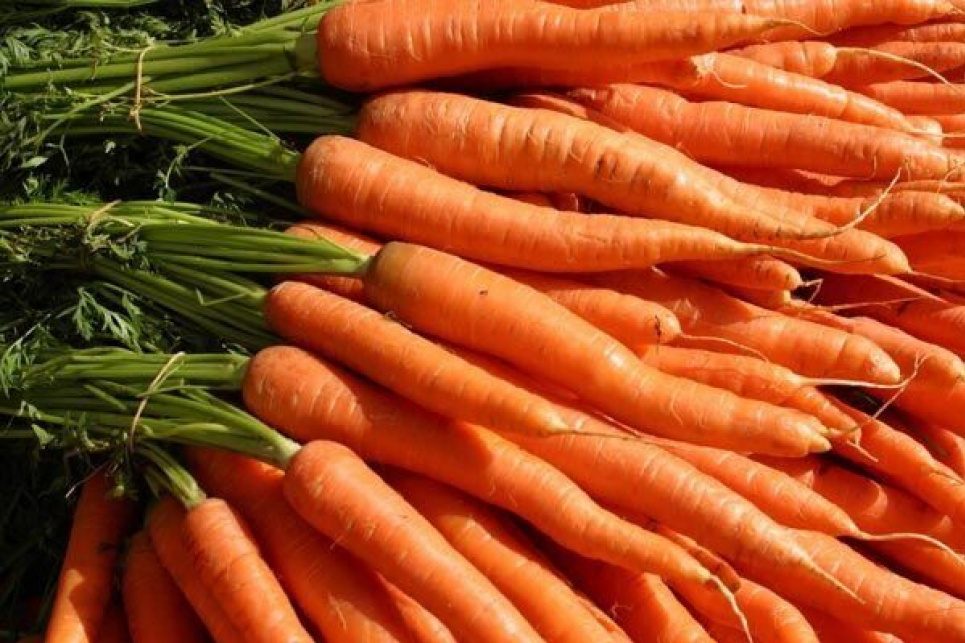 Сьогодні 4 квітня Всесвітній день моркви