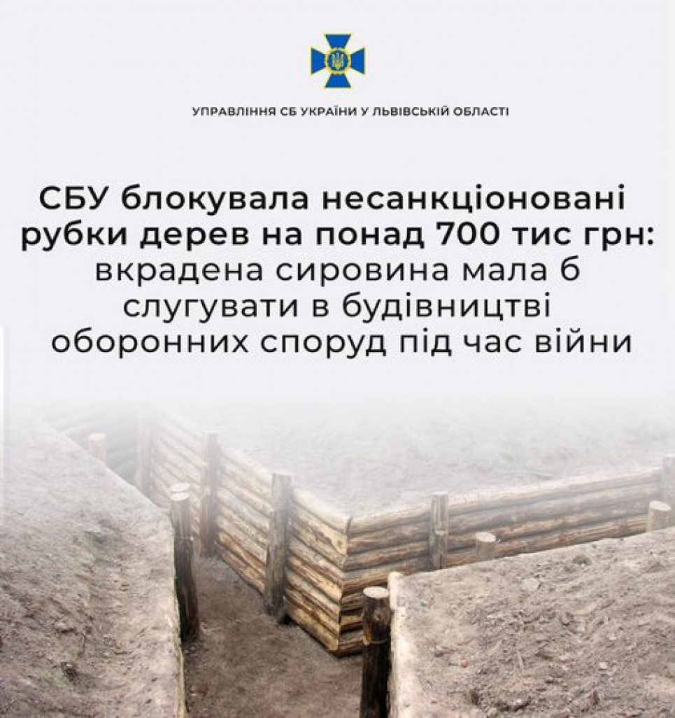 СБУ заблокувала незаконну вирубку дерев, призначених для оборонних споруд