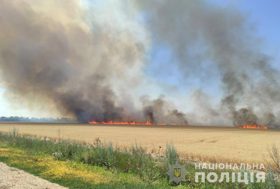 Поліція відкрила кримінальні провадження через знищення врожаю на Херсонщині (ФОТО)