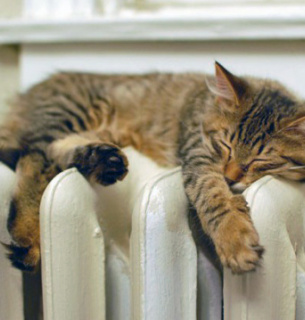 Украина будет обеспечена газом на отопительный сезон благодаря поддержке партнеров — нардеп Украина будет обеспечена газом на отопительный сезон благодаря поддержке партнеров — нардеп