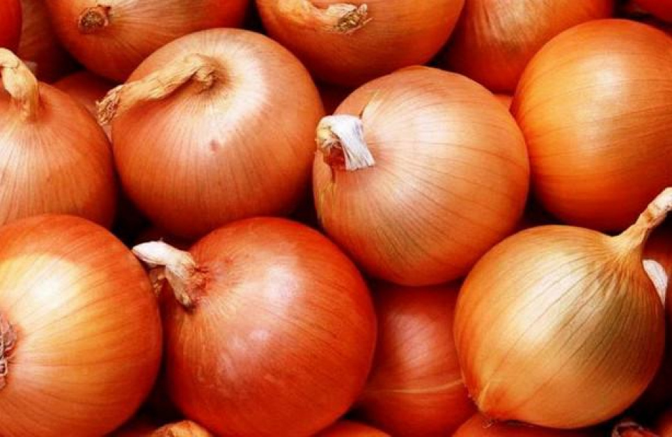 Чому мудрі господині не викидають лушпиння від цибулі: у них на це є 7 причин