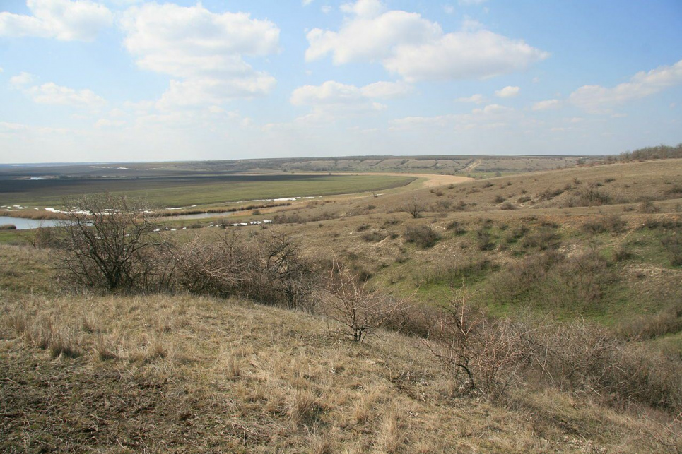 Поки в Україні триває війна, на шмаття ріжуть регіональний ландшафтний парк “Висунсько-Інгулецький”