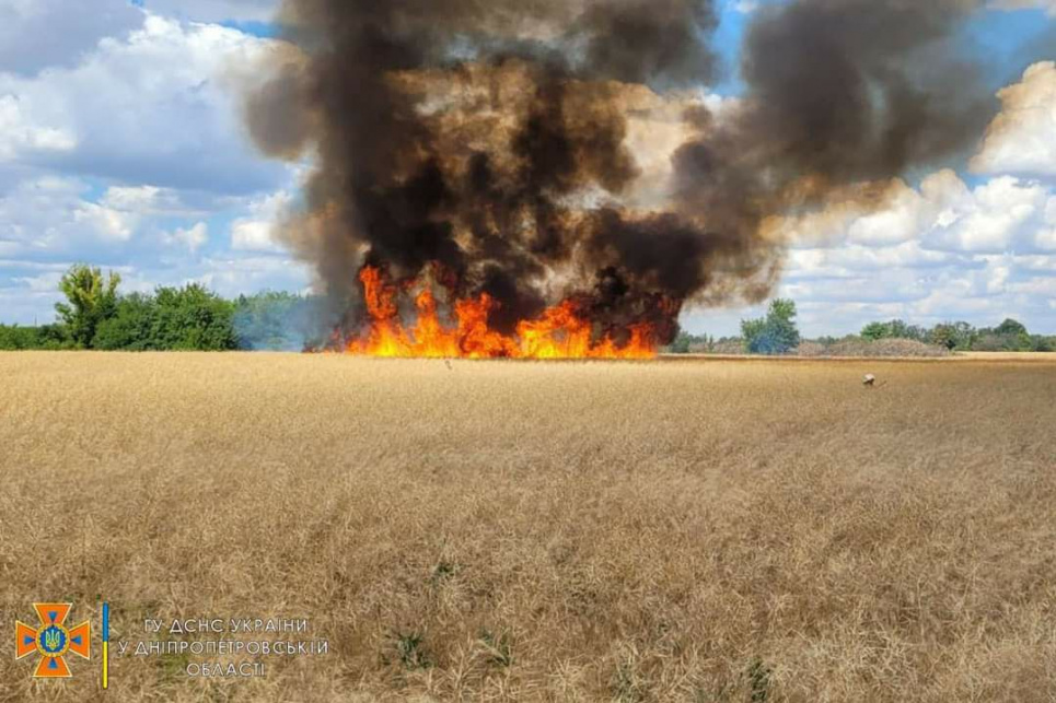 20 мільйонів тонн продовольства втратив світ через напад росії на Україну