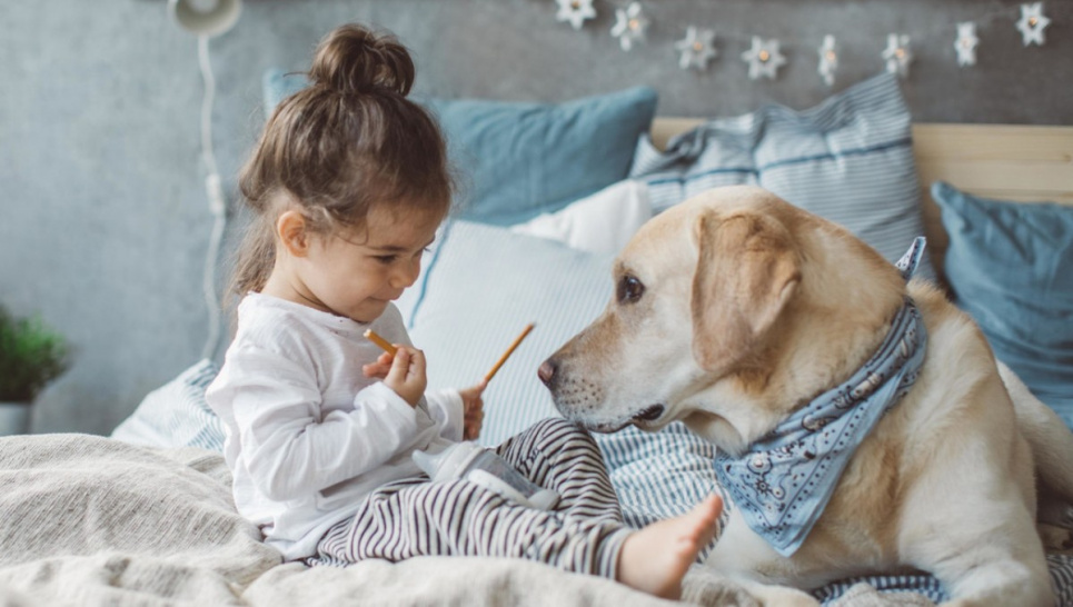 У Києві запрацював чат-бот, де можна отримати безкоштовну консультацію щодо догляду за тваринами