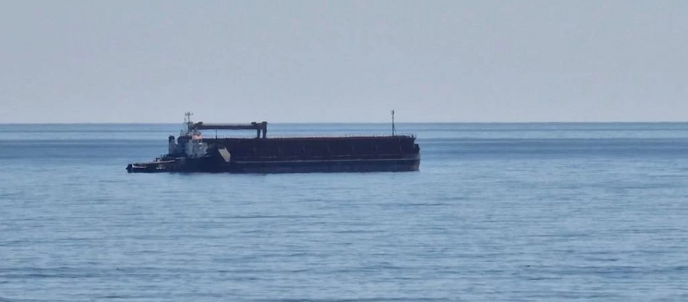Перша баржа з українським насінням соняшника прибула до Болгарії з Дунаю