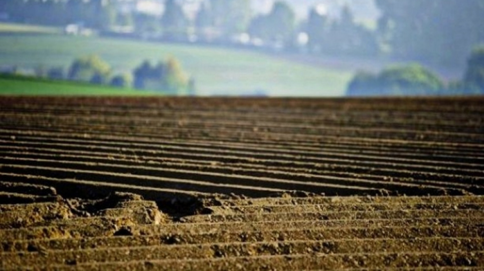 Прокуратура Волині намагатиметься повернути державі 2 га особливо цінних земель