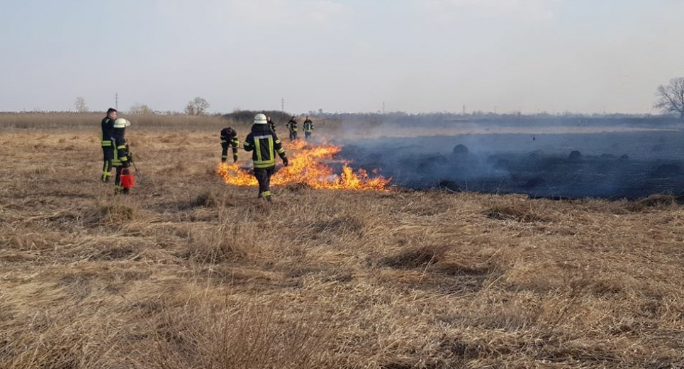 В Україні посилять кримінальну відповідальність за підпали опалого листя та стерні