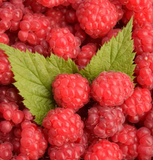 Экспорт малины из Украины 2025