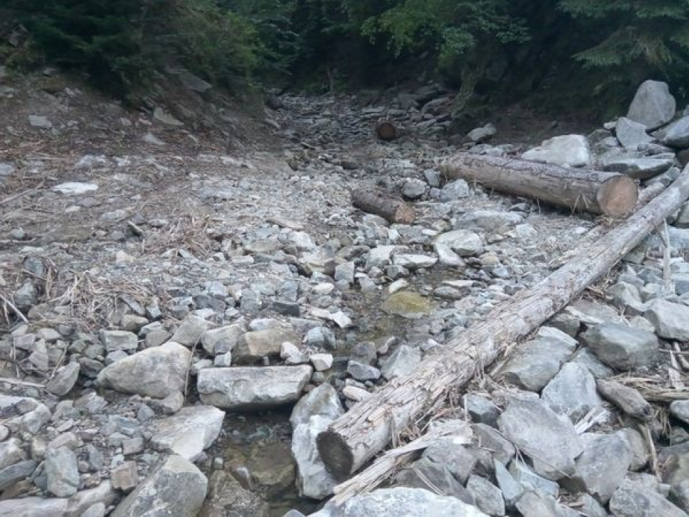 Екологи заявляють про трелювання деревини по струмках та суцільні рубки на межі із заповідником «Ґорґани»  Типовий вигляд гірських струмків після трелювання по них деревини (квартали 13 та 17 Зеленського лісництва Надвірнянського лісгоспу)