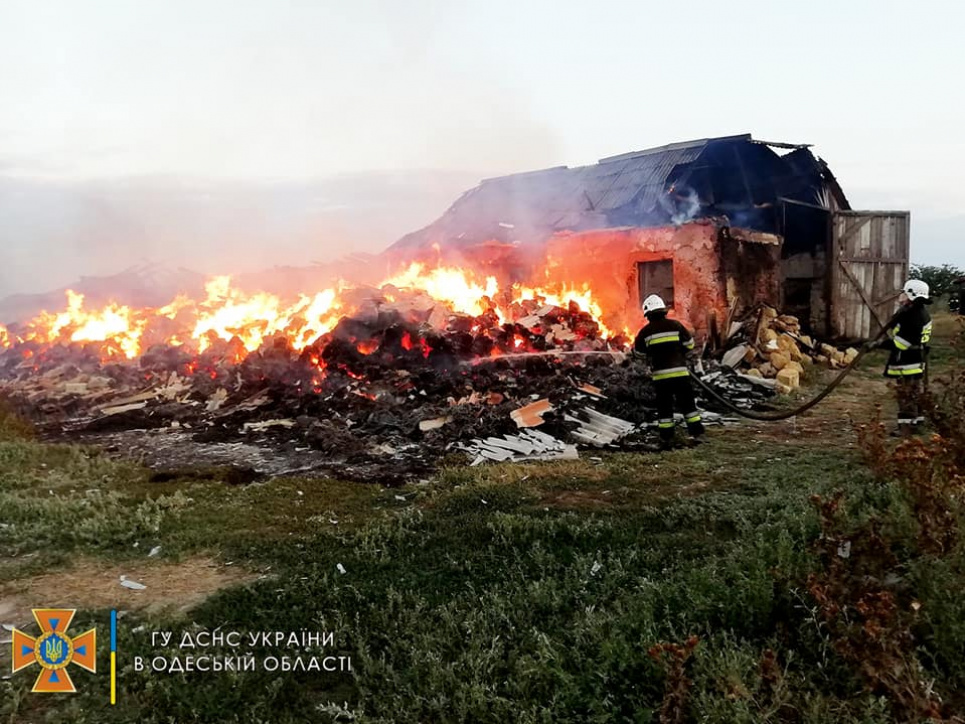 Масштабна пожежа на Одещині: врятовано 30 тонн зерна цьогорічного врожаю(ФОТО)