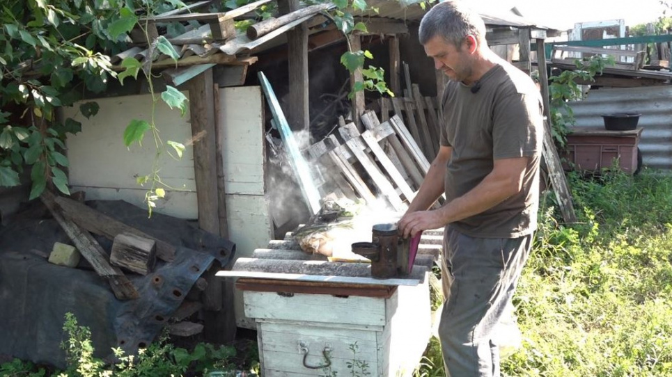 Проїхали 700 км у ящику від боєприпасів: до Черкас евакуювали бджіл(ВІДЕО)