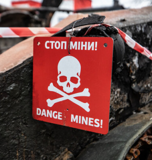 Україна увійшла в ТОП найзамінованіших країн світу: небезпека для екології