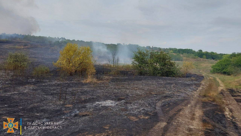 За спалювання сухої рослинності порушники мають сплатити майже мільйон гривень
