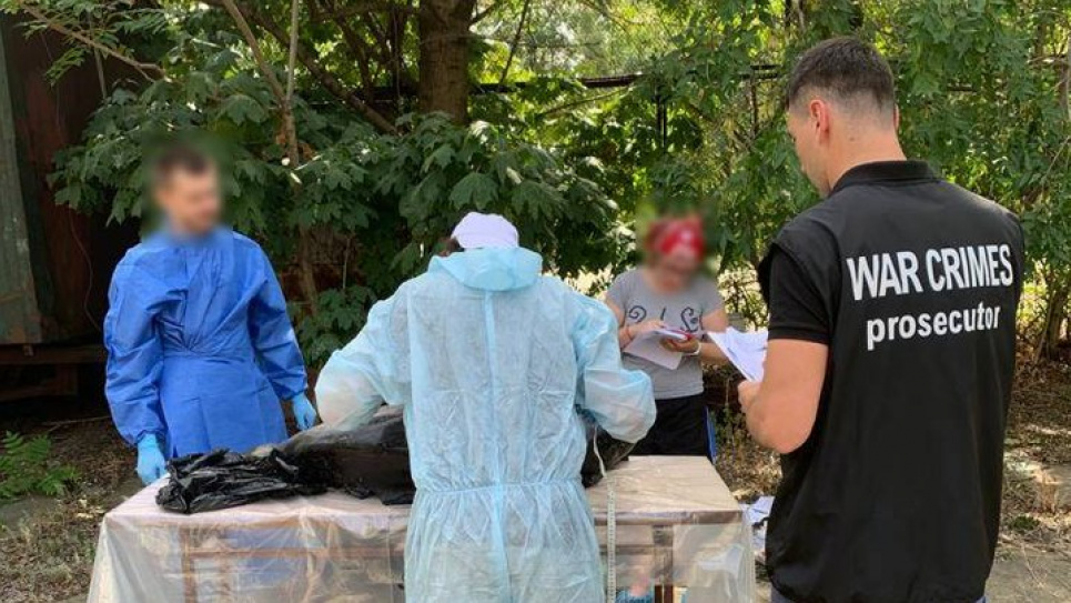 Через масову гибель дельфінів на Одещині відкрито кримінальне провадження