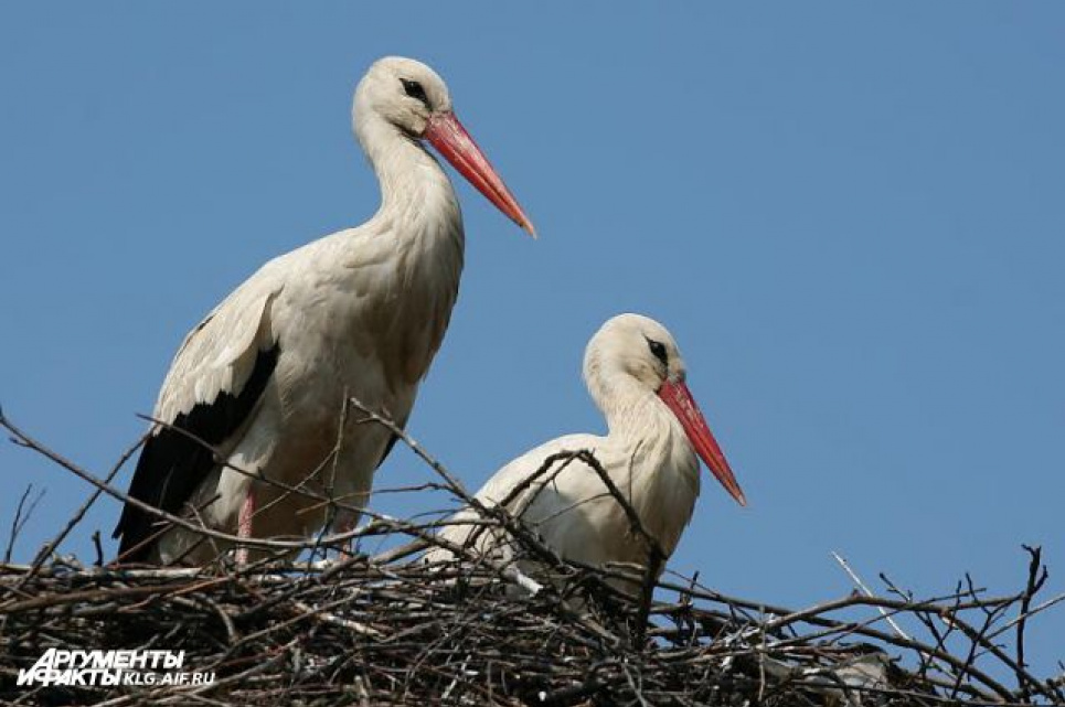 Прикмети на 10 жовтня: які 3 заборони не можна порушувати, щоб весь рік не жити в боргах