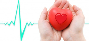 Британські вчені Захист серцевої тканини від ушкоджень після інфаркту