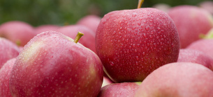 Чому потрібно щодня їсти яблука