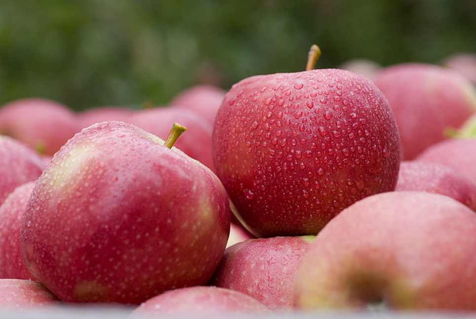 Чому потрібно щодня їсти яблука