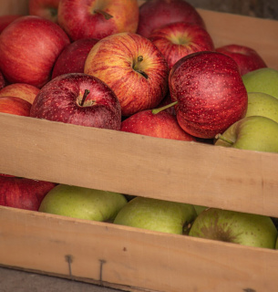 Конкуренція на ринку яблук загострилася Ціни на українське яблуко зрівнялися з польським та італійським через неврожаї конкурентів