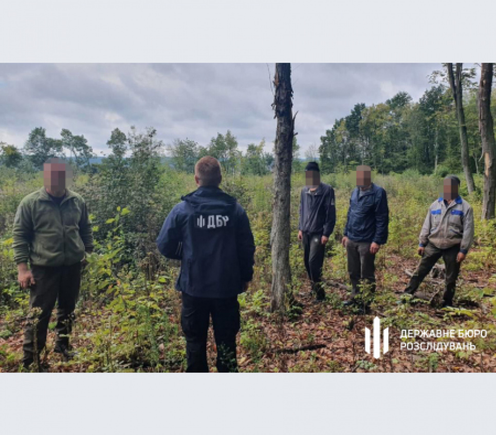 Вінницьких посадовців підозрюють у незаконній вирубці лісу на майже 90 млн грн