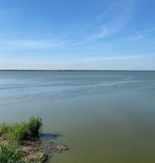 Відкрито купальний сезон на найбільшому озері в Україні Фото з відкритих джерел