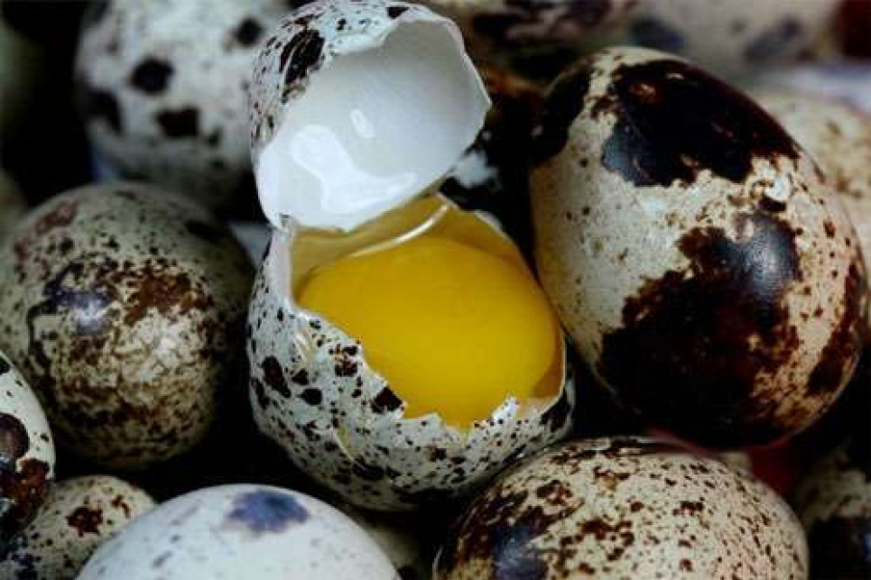 7 продуктів, які містять корисні жири