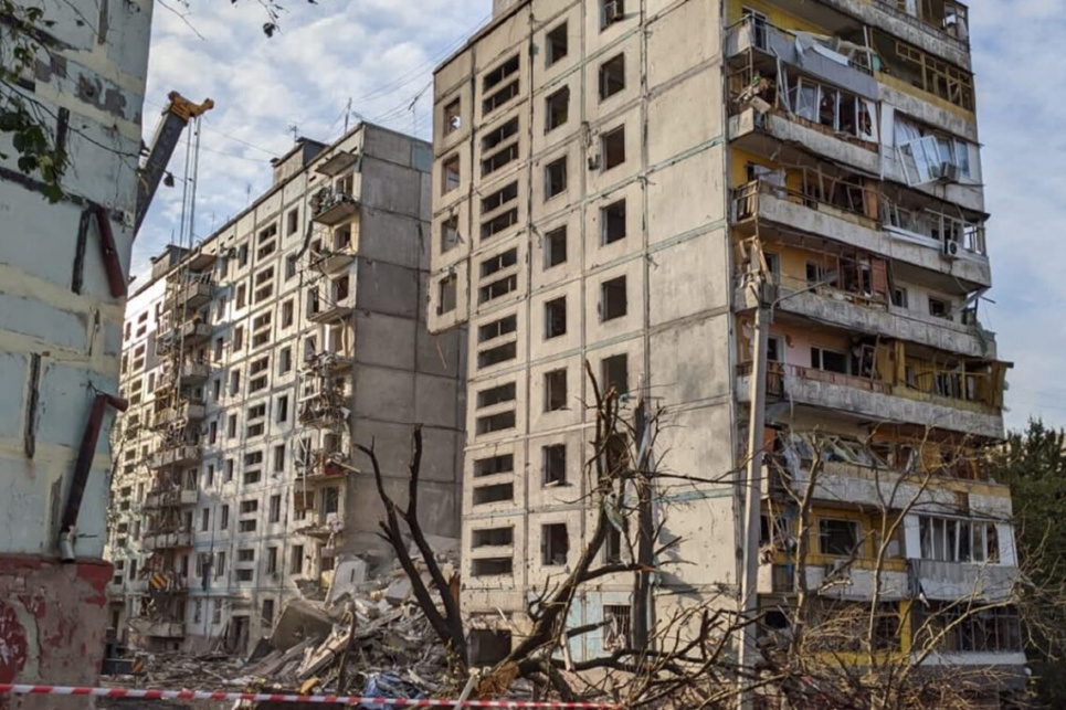 Оцінка збитків довкіллю від війни є одним із десяти пунктів формули миру Президента України Володимира Зеленського