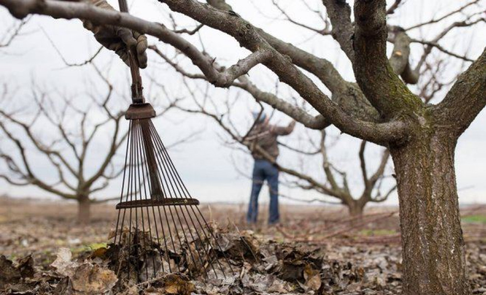 Прикмети на 13 листопада: які 5 речей не можна робити, щоб не зануритися в біду