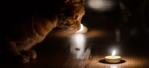 Дефицит электроэнергии до 35%: зимой свет может быть только по 6-7 часов. Энергосистема Украины Энергетика Отопительный сезон Отключение света