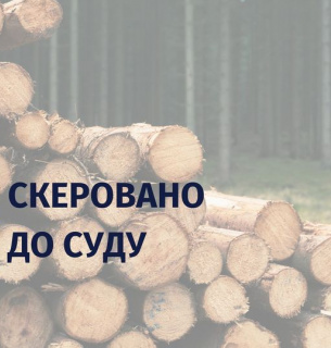 Керівника Закарпатської лісоохорони та його підлеглого судитимуть за незаконну рубку та збитки у 5,4 млн грн