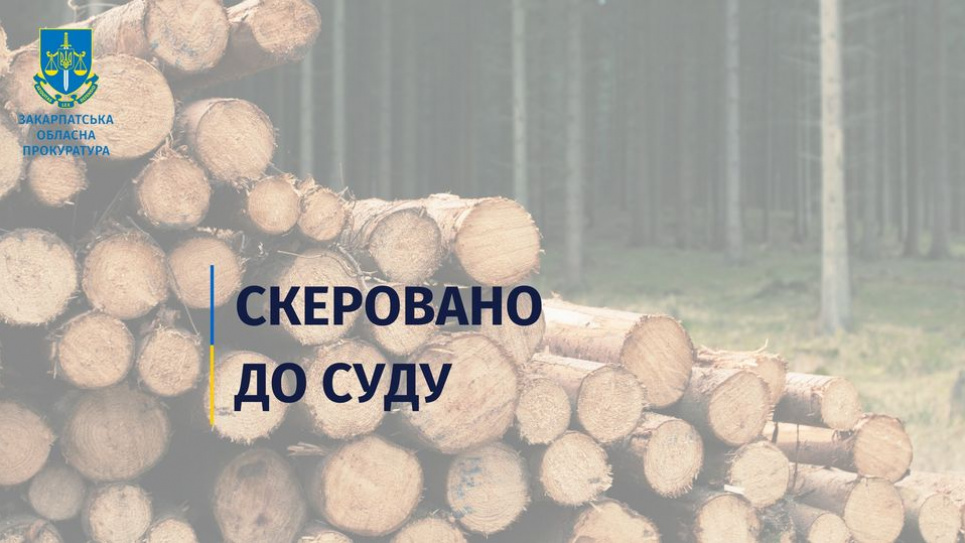 Керівника Закарпатської лісоохорони та його підлеглого судитимуть за незаконну рубку та збитки у 5,4 млн грн