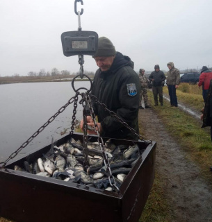 На Черкащині фахівцями ДЕІ зариблено Дніпро на 11 тисяч екземплярів товстолоба
