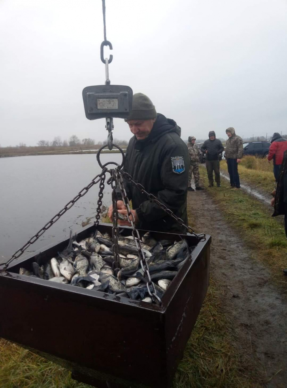 На Черкащині фахівцями ДЕІ зариблено Дніпро на 11 тисяч екземплярів товстолоба