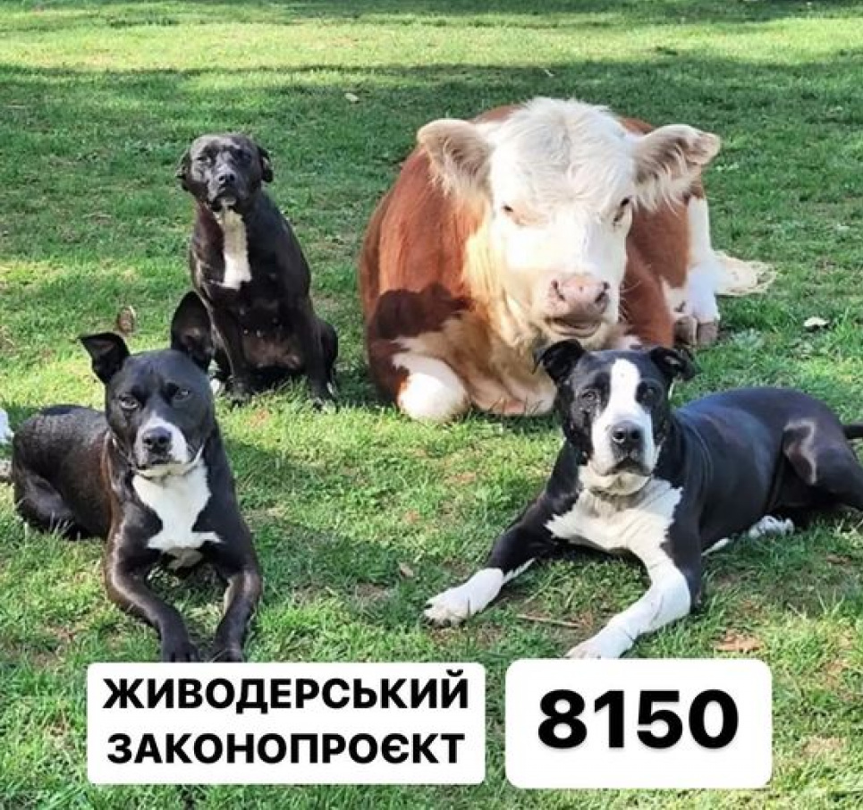 Зоозахисники вимагають відкликати живодерський законопроєкт №8150