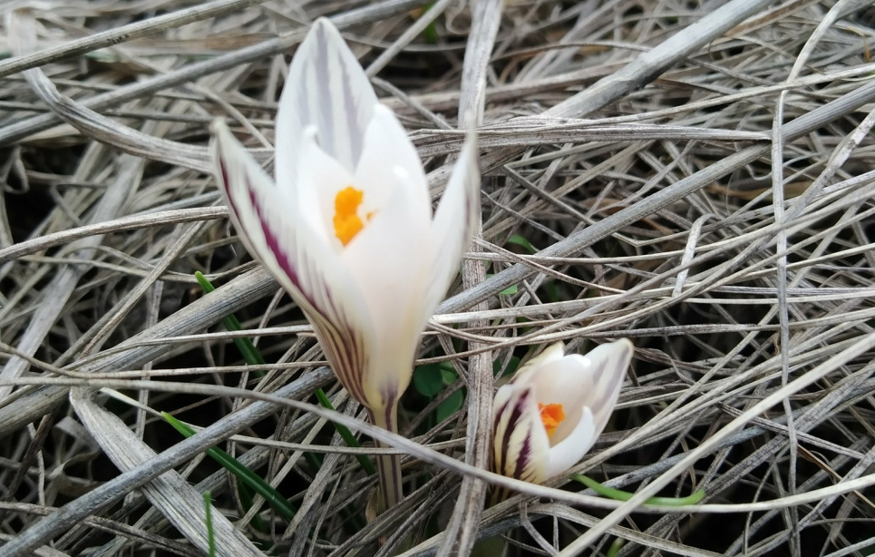 На Черкащині створять 5 заповідних об'єктів загальною площею 14 га