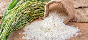 У Індії фіксують надлишок запасу рису 