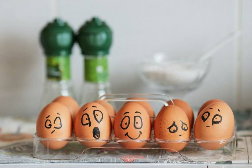 3 продукта питания, которые могут стать прекрасной подкормкой для комнатных растений Продукты питания Подкормка для комнатных растений