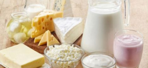 Рентабельность производства сыра в Украине стала совсем скудной