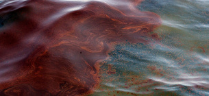Судно загрязнило море нефтепродуктами.