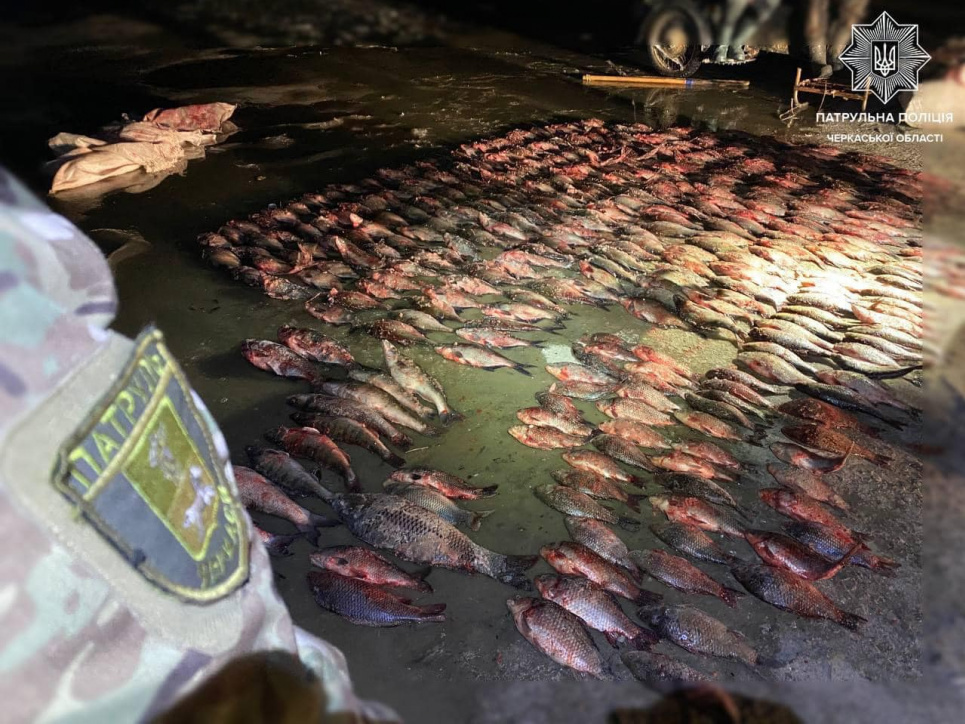 На Черкащині ДЕІ виявила незаконний вилов риби більш як на 3 млн грн