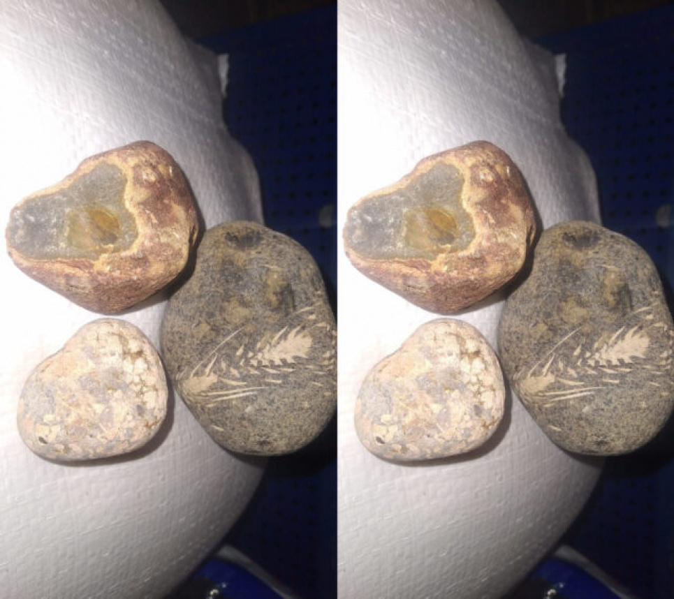 На Житомирщині у землі знайшли камені, яким може бути 1 млн років(ФОТО)