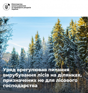Уряд затвердив правила вирубки лісів на ділянках, призначених не для лісового господарства