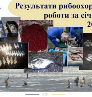 З початку року черкаські порушники рибальства завдали збитків понад 3 млн грн