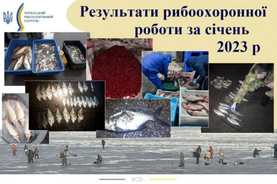 З початку року черкаські порушники рибальства завдали збитків понад 3 млн грн