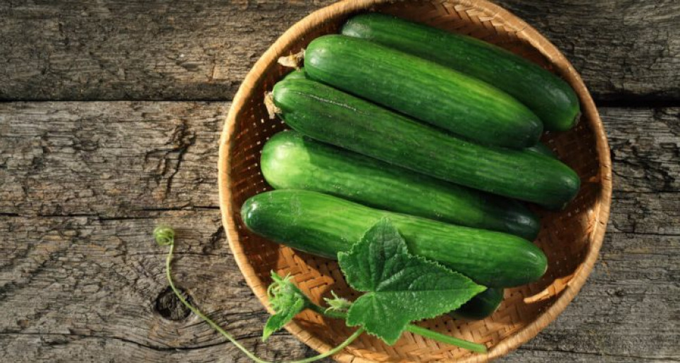 Їсти, щоб схуднути: дієтолог розповіла про продукти з негативною калорійністю