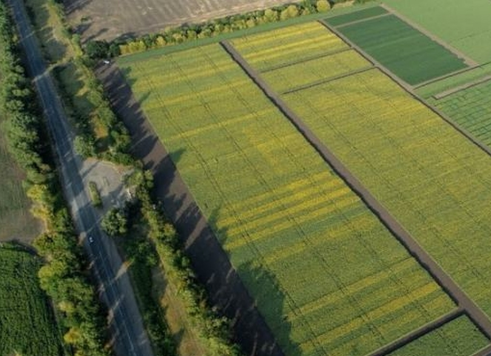 Під урожай цього року планується засіяти майже 20 млн га землі
