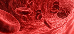 Когда костный мозг предаёт: 25 октября — день, чтобы говорить о MDS Международный день осведомленности о миелодиспластическом синдроме (MDS World Awareness Day) — 25 октября