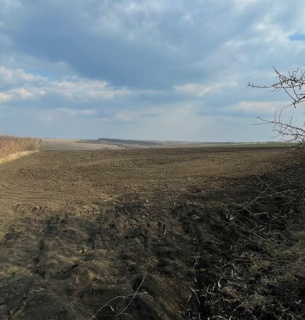 Прокуратура Одещини повернула територіальній громаді сільгоспземель на понад 12 млн грн